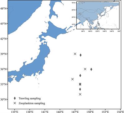 Trophic structure of micronekton in the Northwest Pacific Ocean